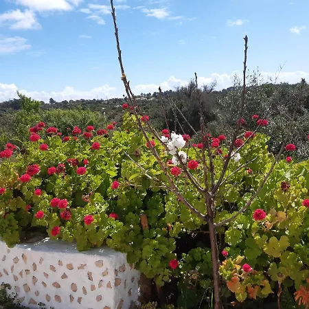 Quinta Da Jolanda-happy Family Farm Apartment Lagos