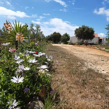 Quinta Da Jolanda-happy Family Farm 아파트